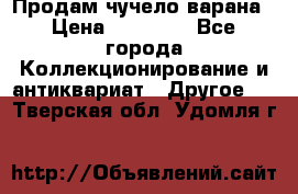 Продам чучело варана › Цена ­ 15 000 - Все города Коллекционирование и антиквариат » Другое   . Тверская обл.,Удомля г.